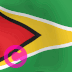 Guyana-Landesflagge, Elgato-Streamdeck und Loupedeck animierte GIF-Symbole als Hintergrundbild für die Tastenschaltfläche
